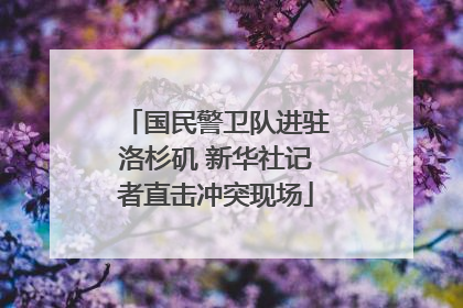 国民警卫队进驻洛杉矶 新华社记者直击冲突现场